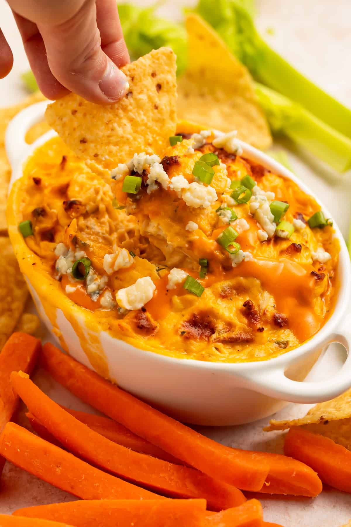 A tortilla chip being dipped into a baked buffalo chicken dip.