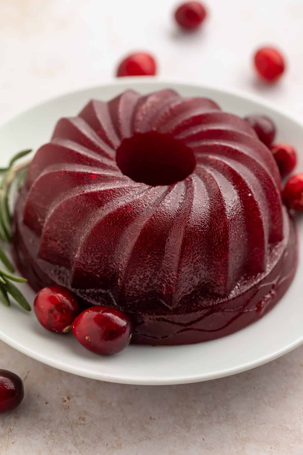 Jellied cranberry sauce moulded in a bundt pan. It is sitting on a white plate with fresh cranberries and herbs as a garnish. 