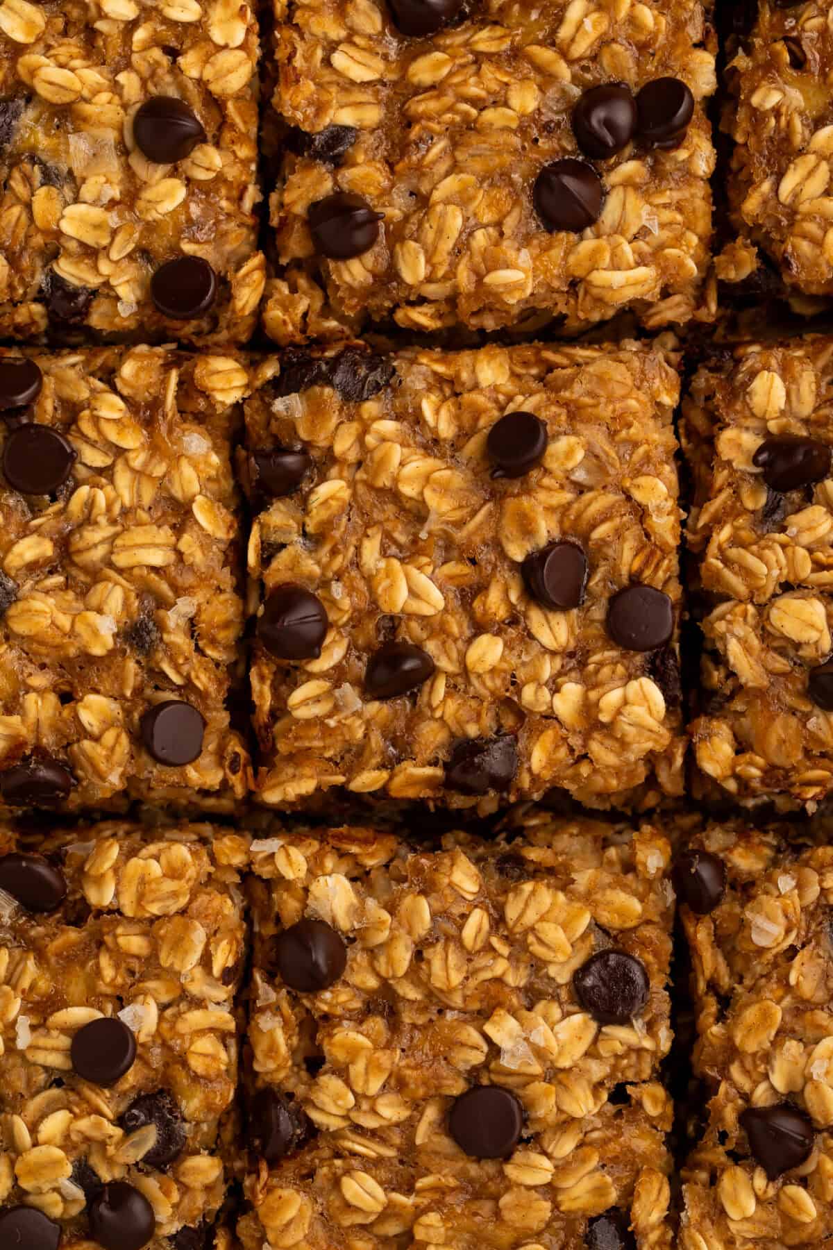 Close up of healthy oatmeal bars with chocolate chips.