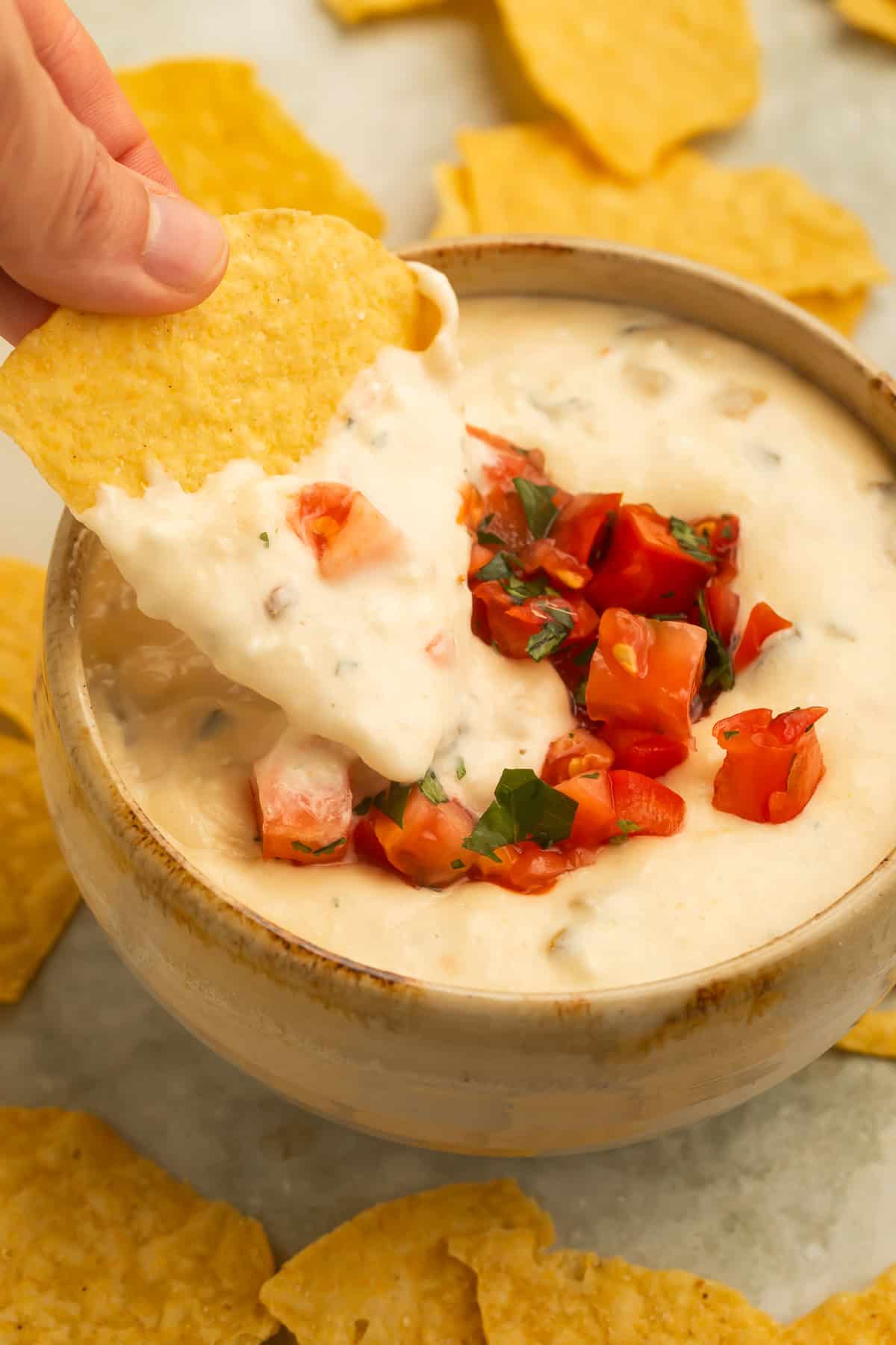 Tortilla chip dipped into creamy crockpot queso dip topped with diced tomatoes and cilantro