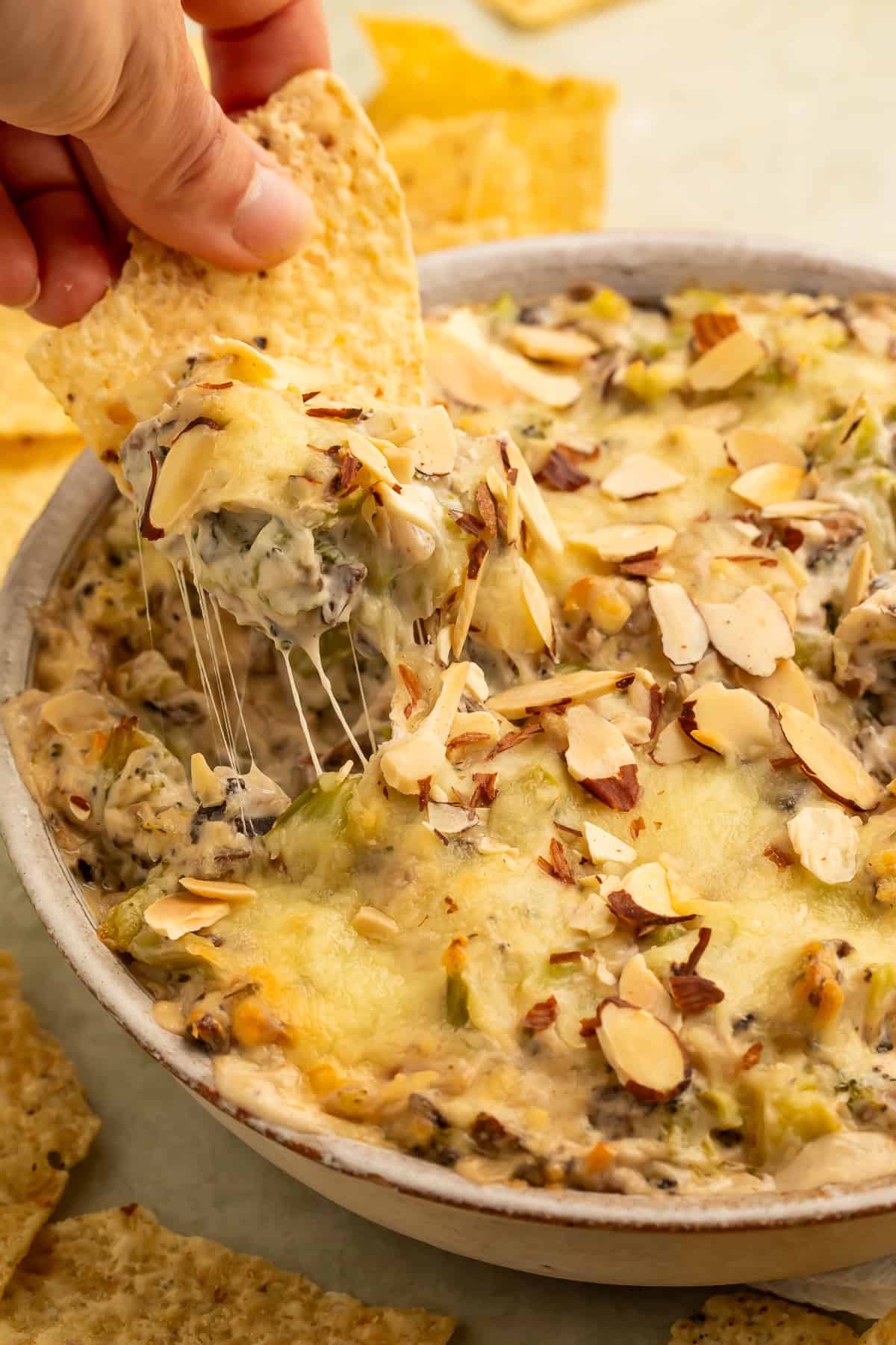 A tortilla chip lifting a cheesy scoop of baked broccoli dip topped with toasted sliced almonds from a baking dish.