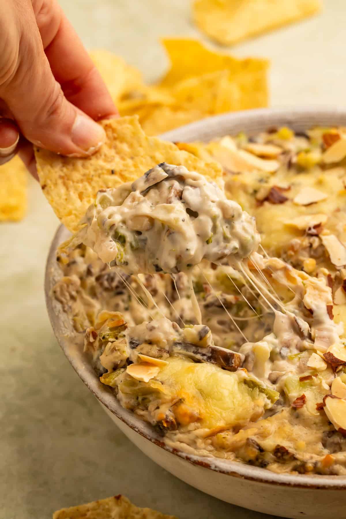 A tortilla chip holding a scoop of creamy broccoli cheese dip with mushrooms and melted cheese stretching from the baking dish