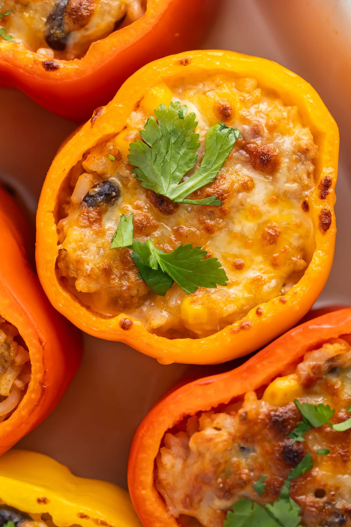 Mexican stuffed peppers with ground turkey and melted cheese in a casserole dish.