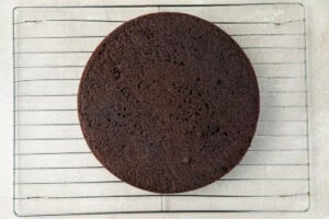 Unfrosted layer of German chocolate cake