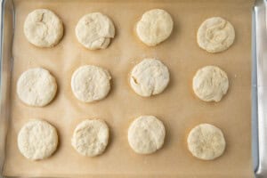 Vegan biscuit dough discs on a parchment-paper lined sheet pan