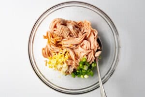 Ingredients for chicken gyoza in a large glass mixing bowl
