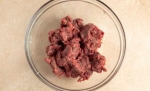 Buffalo burger meat mixture in large glass bowl