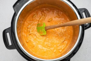 instant pot buffalo chicken dip step 3
