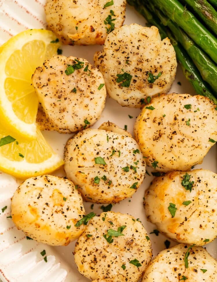 Plate of seasoned scallops with asparagus and lemon slices on the side.