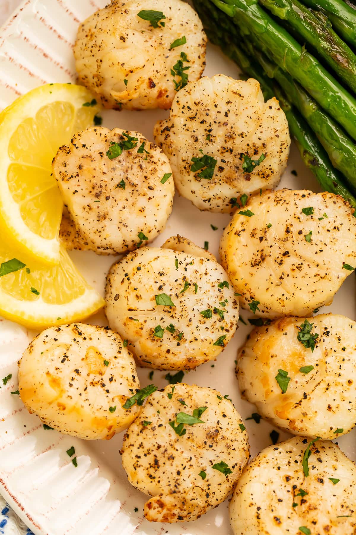 Plate of seasoned scallops with asparagus and lemon slices on the side.