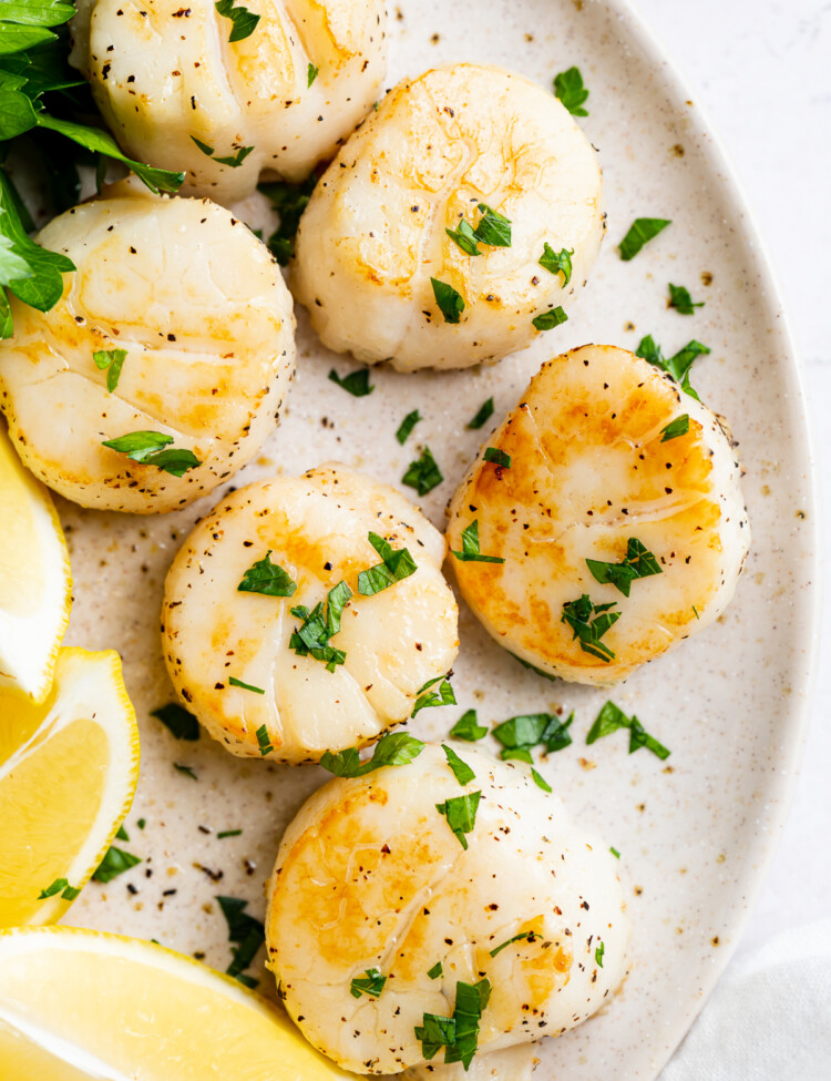 overhead image of air fryer scallops on a plate with fresh parsley on top
