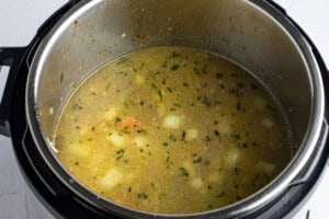 Broth and veggies in Instant Pot