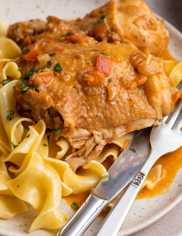close-up image of chicken paprikash on a plate with egg noodles on the side