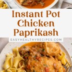 Instant Pot chicken paprikash pin graphic.