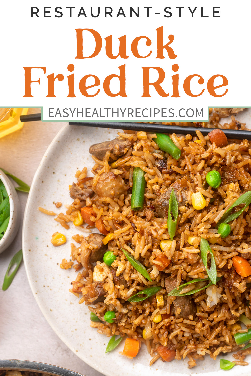 Pin graphic for duck fried rice.