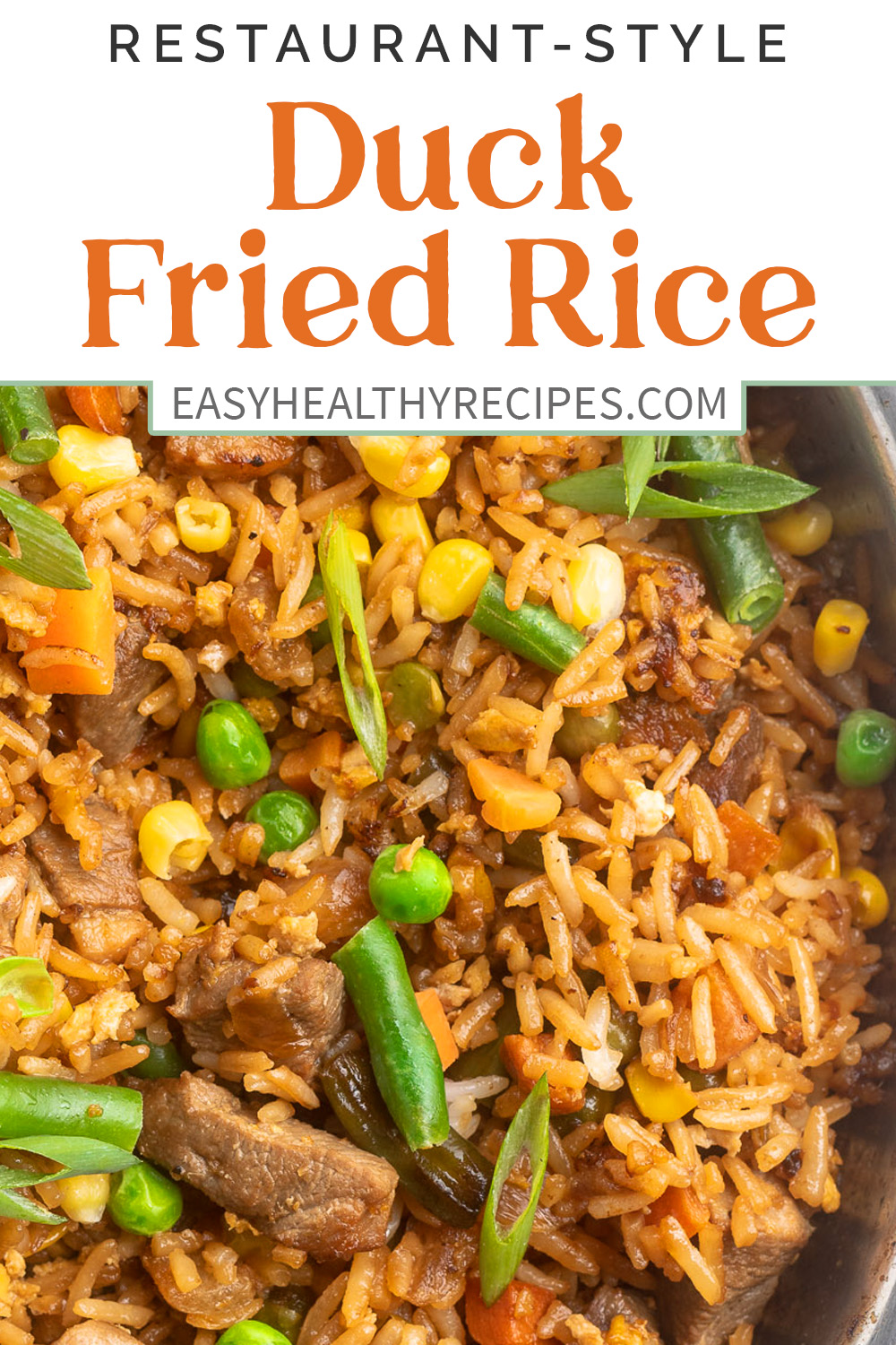 Pin graphic for duck fried rice.
