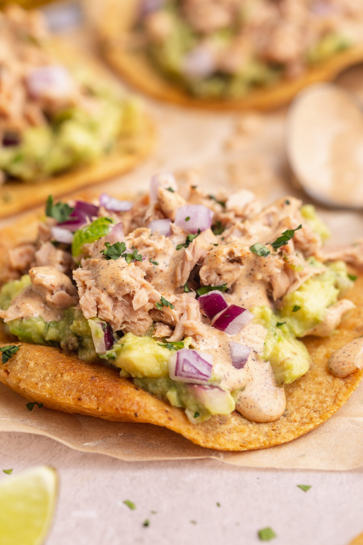 Side view of a crisp tostada topped with tuna, guac, and fresh toppings.