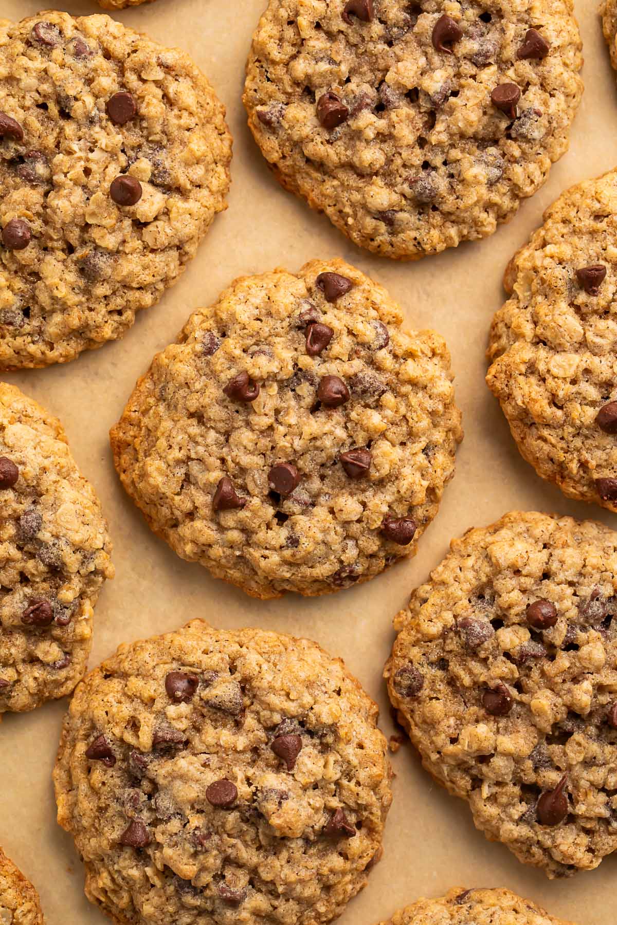 Gluten free oatmeal chocolate chip cookies arranged on a sheet of parchment paper.
