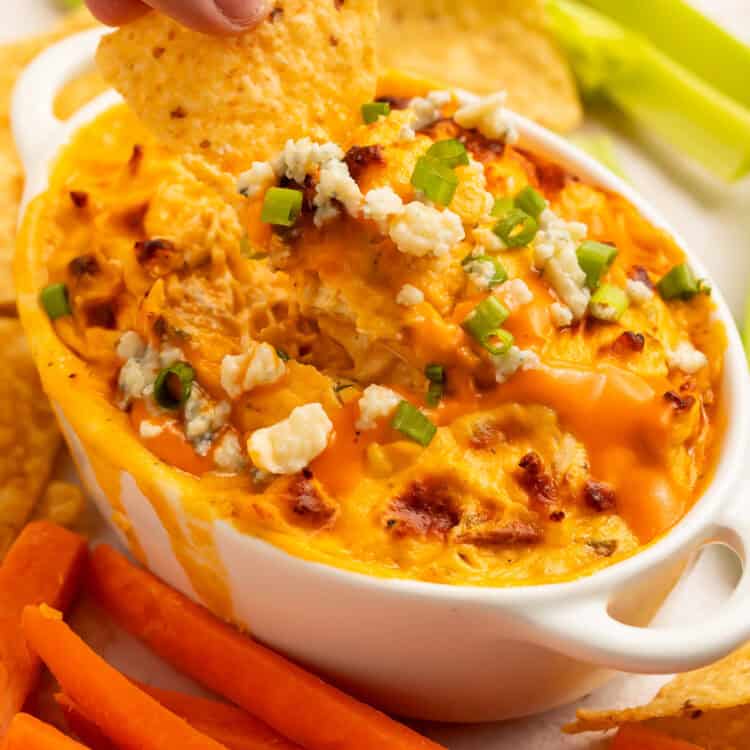 A tortilla chip being dipped into a baked buffalo chicken dip.