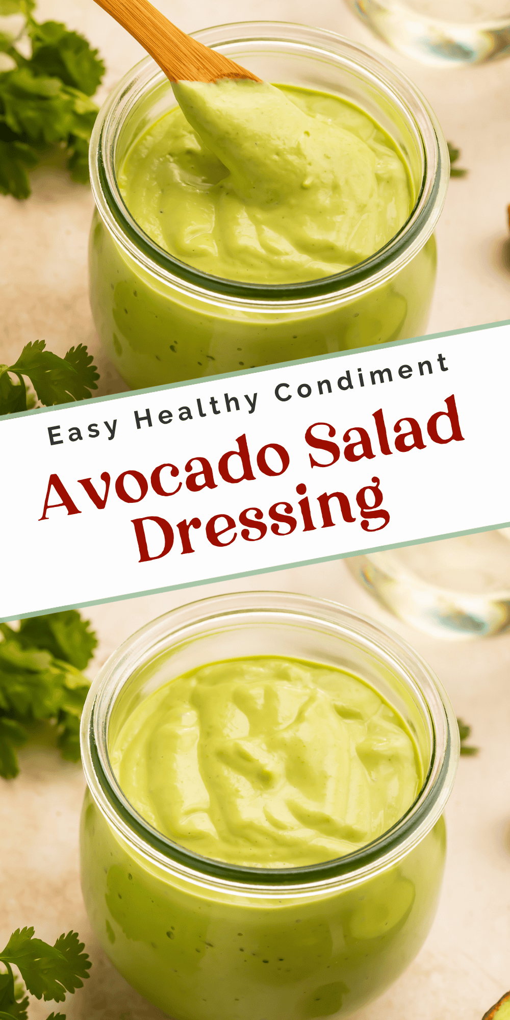 Homemade avocado salad dressing in a glass jar with fresh cilantro and avocado halves on the countertop