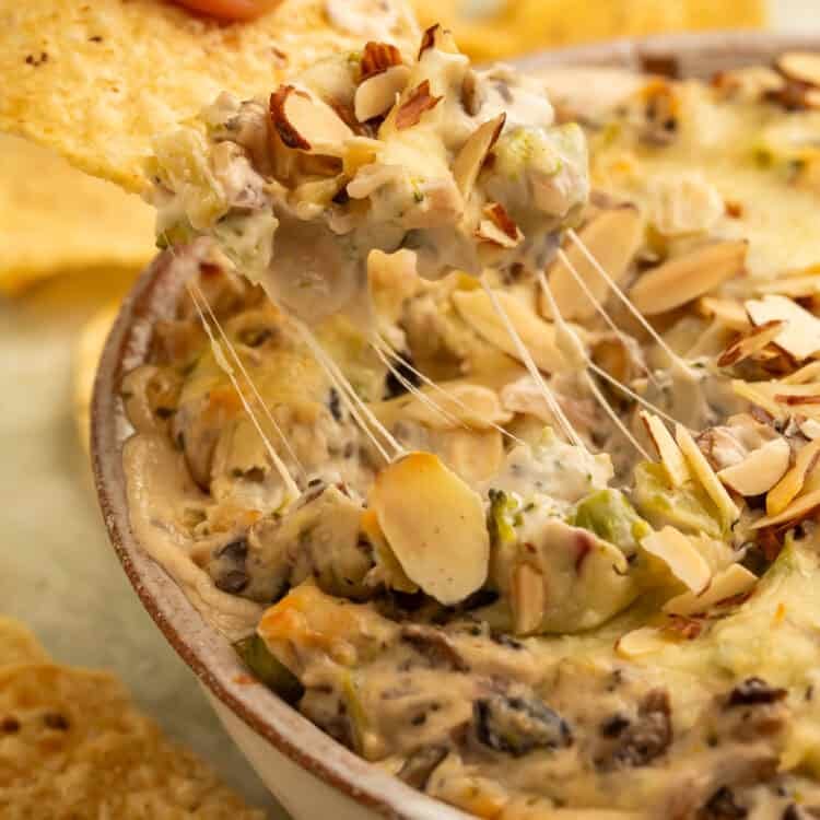 A tortilla chip scooping up creamy baked broccoli cheese dip with melted cheese, mushrooms, broccoli, and toasted sliced almonds