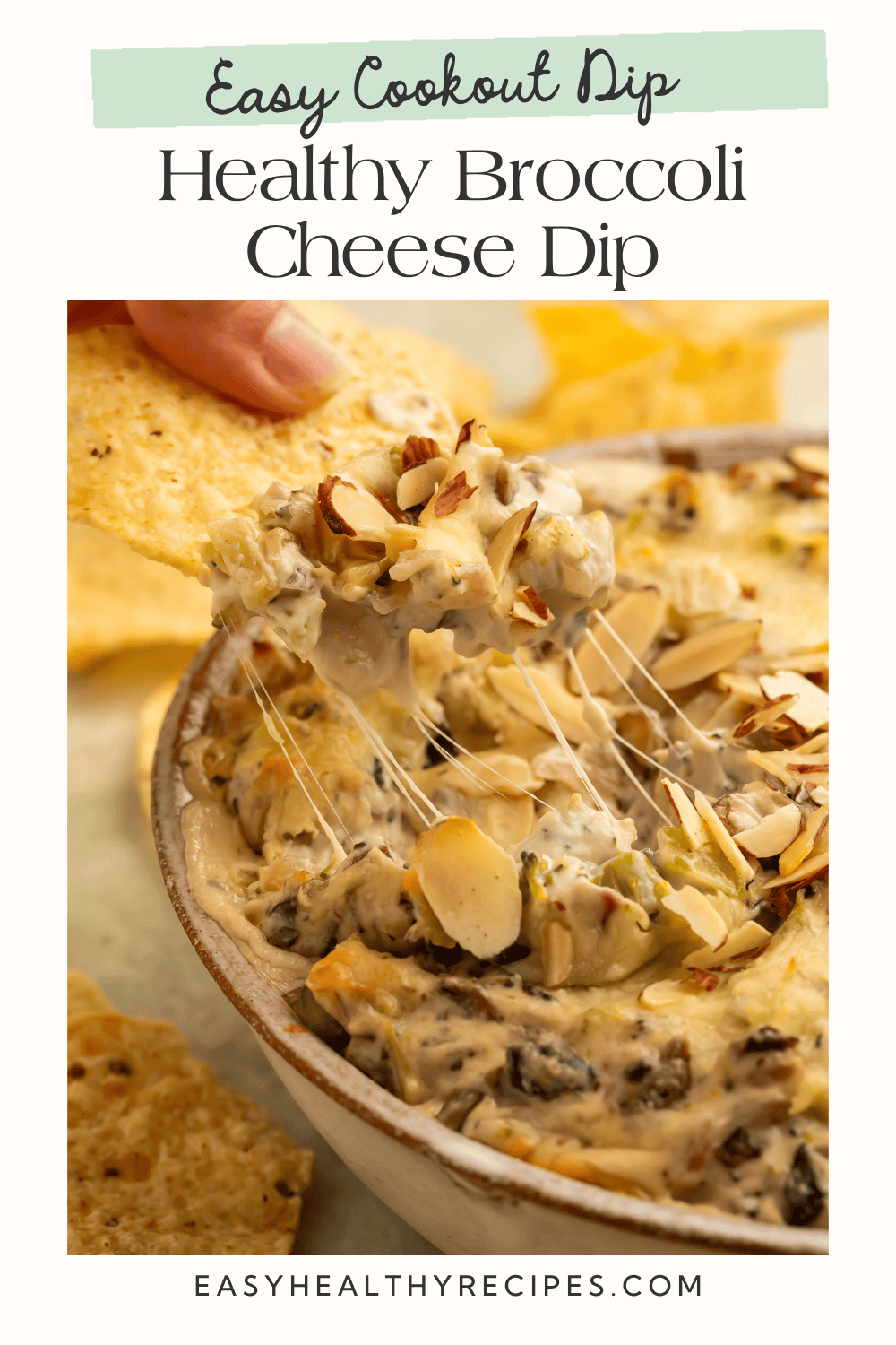 Tortilla chip lifting a scoop of healthy broccoli cheese dip with melted cheese, broccoli, mushrooms, and toasted almonds from a warm baked dish