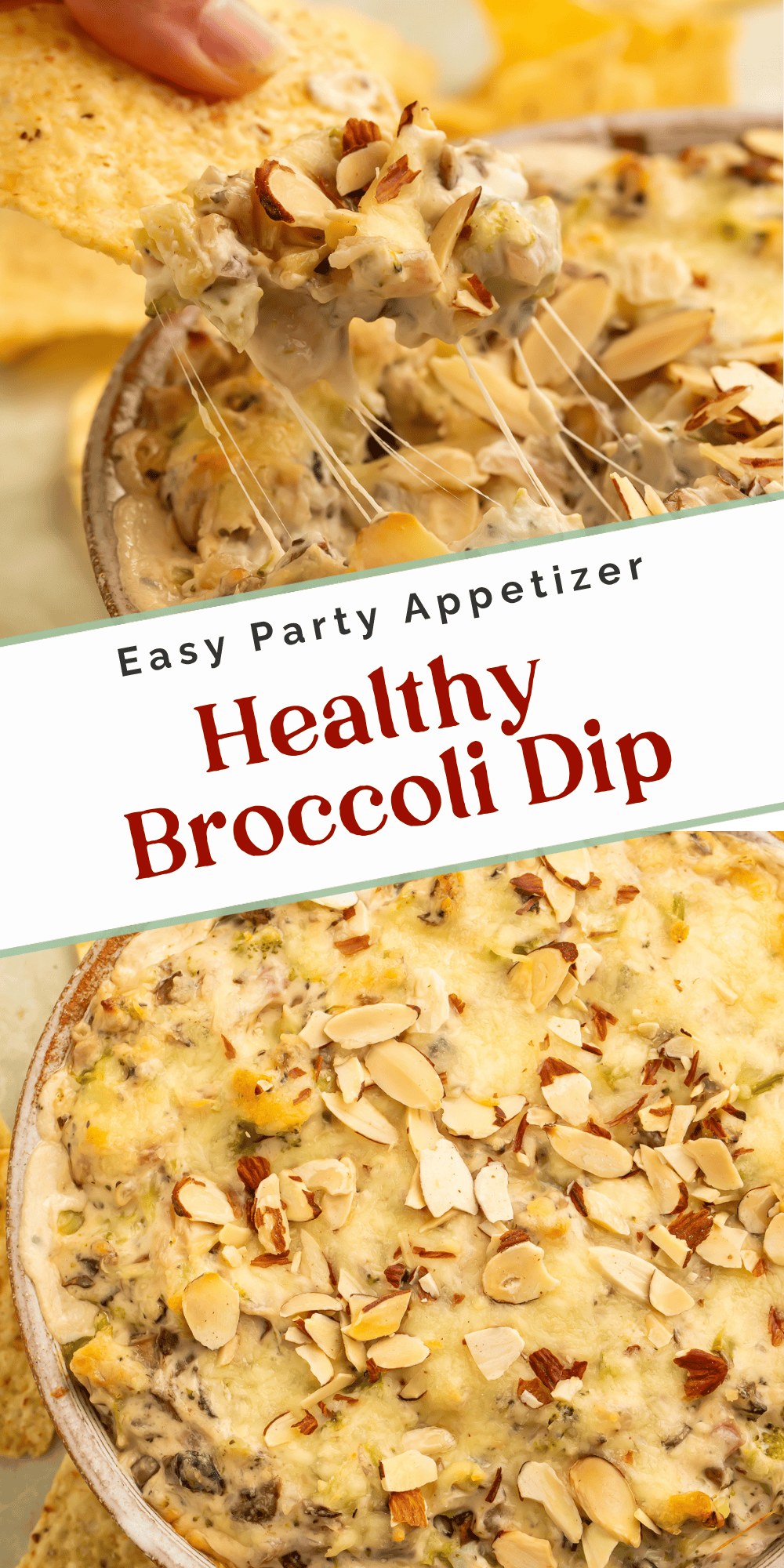 Close-up of a tortilla chip dipping into cheesy broccoli dip with mushrooms, toasted almonds, and melted cheese